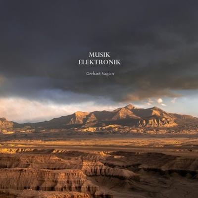 Musik Elektronik's cover