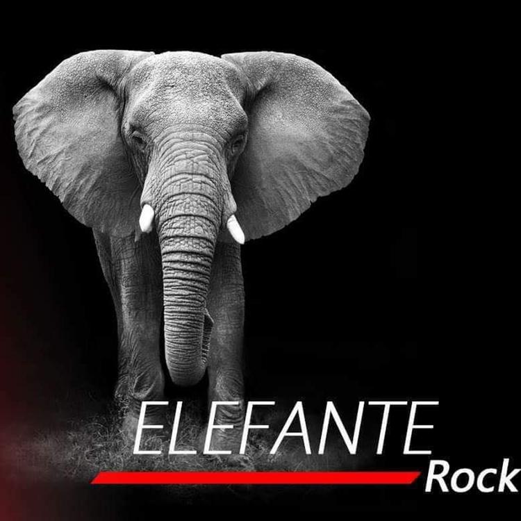 Elefante Rock's avatar image