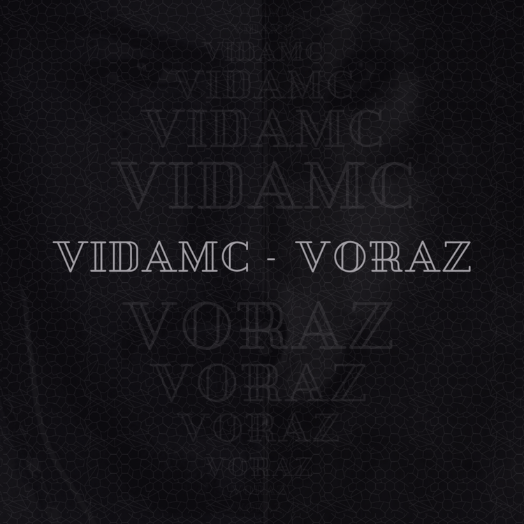 VidaMc's avatar image