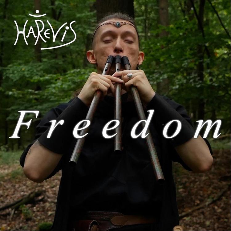 Harevis's avatar image