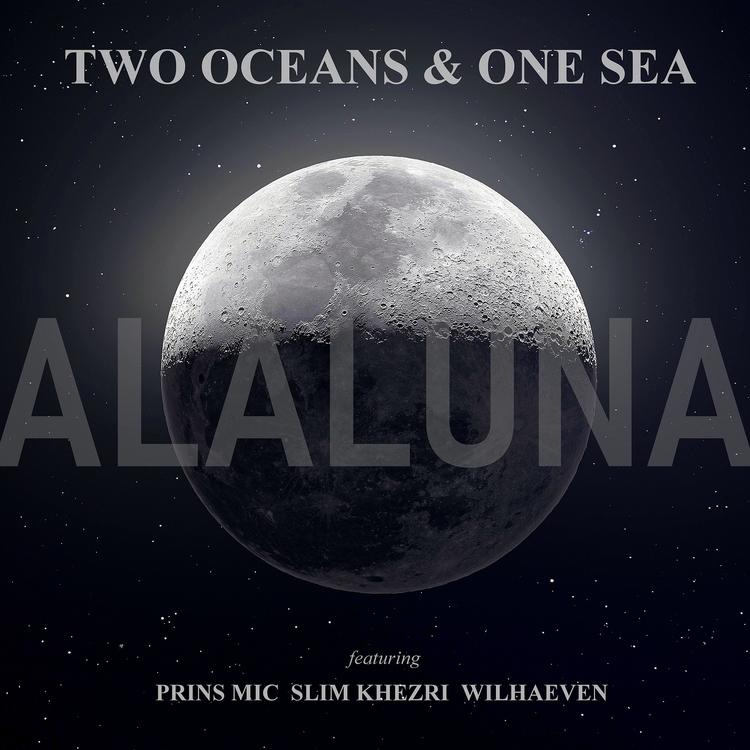 Two Oceans & One Sea's avatar image