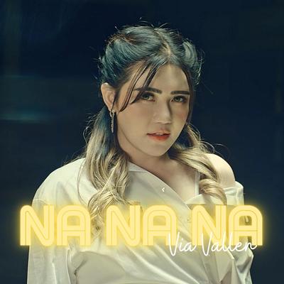 Na Na Na By Via Vallen's cover