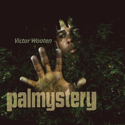 The Lesson By Victor Wooten's cover