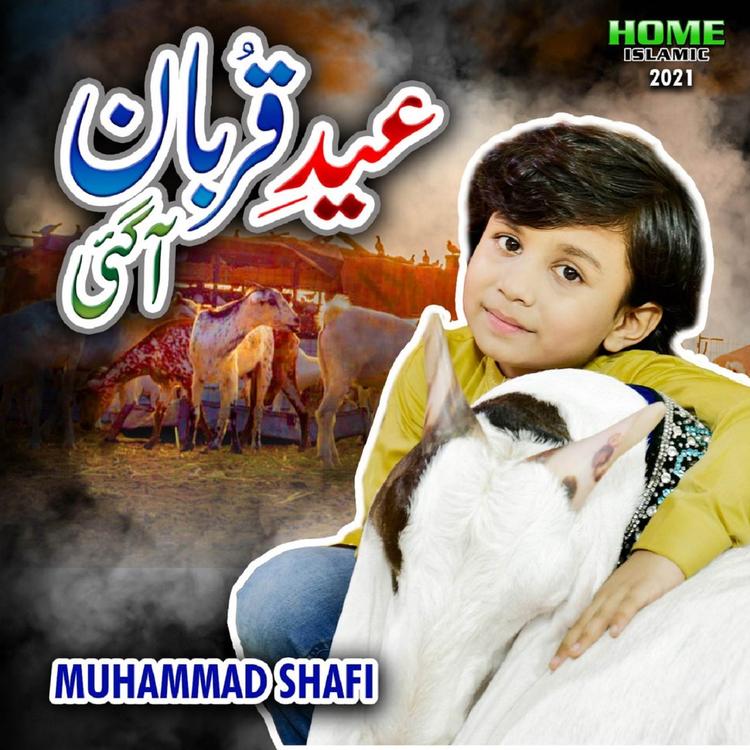 Muhammad Shafi's avatar image