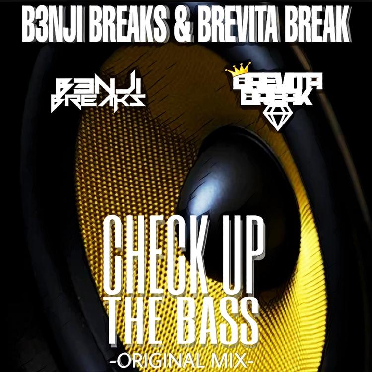 B3nji Breaks & Brevita Break's avatar image
