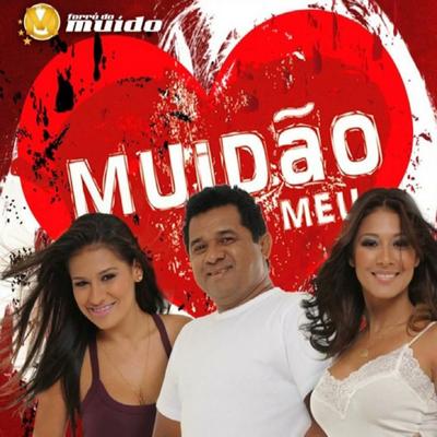 Forró Do Muído, Vol. 9 (Ao Vivo, Muidão)'s cover