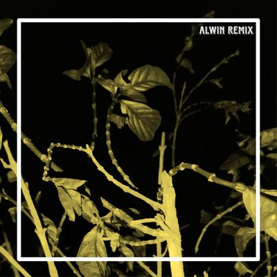 Alwin Remix's cover