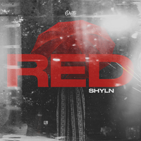 SHYLN's avatar cover