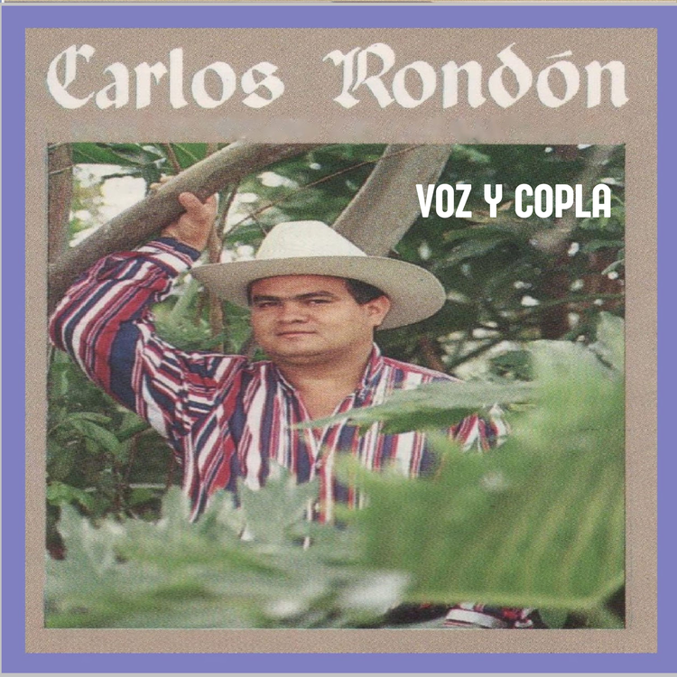 Carlos Rondon's avatar image