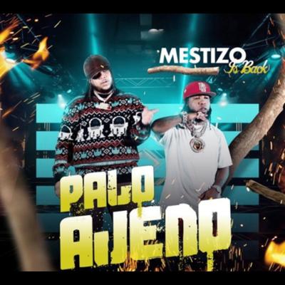 Mestizo Is Back's cover