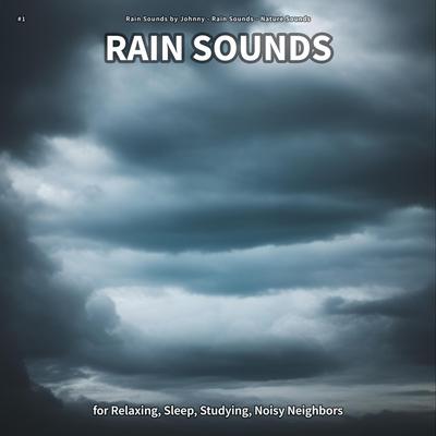 #1 Rain Sounds for Relaxing, Sleep, Studying, Noisy Neighbors's cover