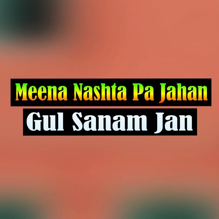 Gul Sanam Jan's avatar image