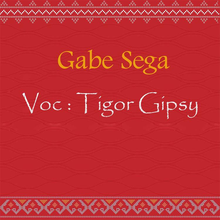 Tigor Gipsy's avatar image