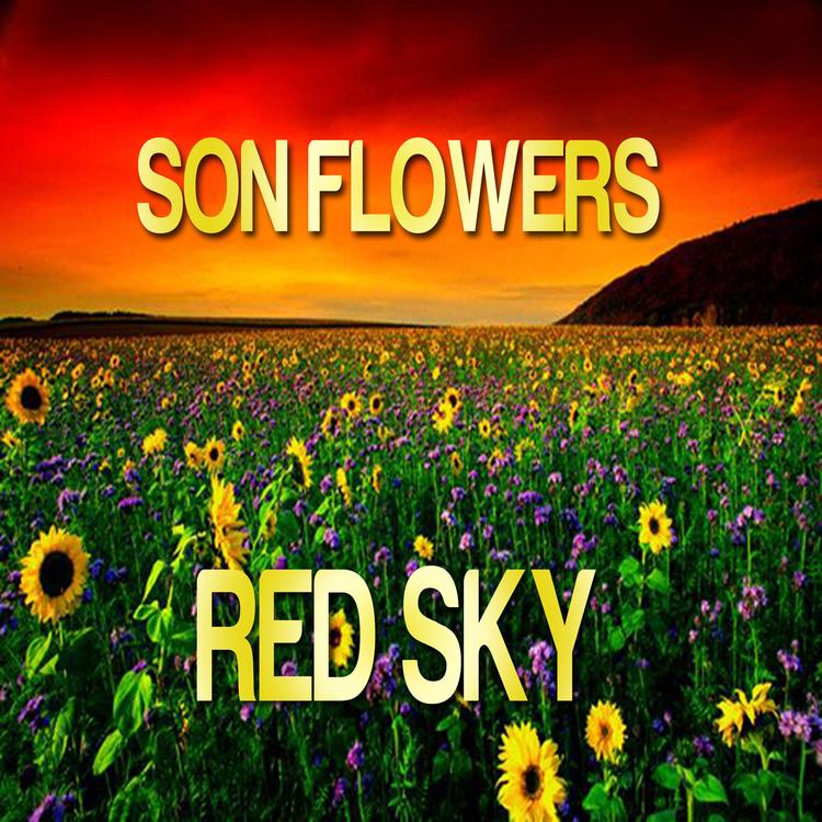 Son Flowers's avatar image