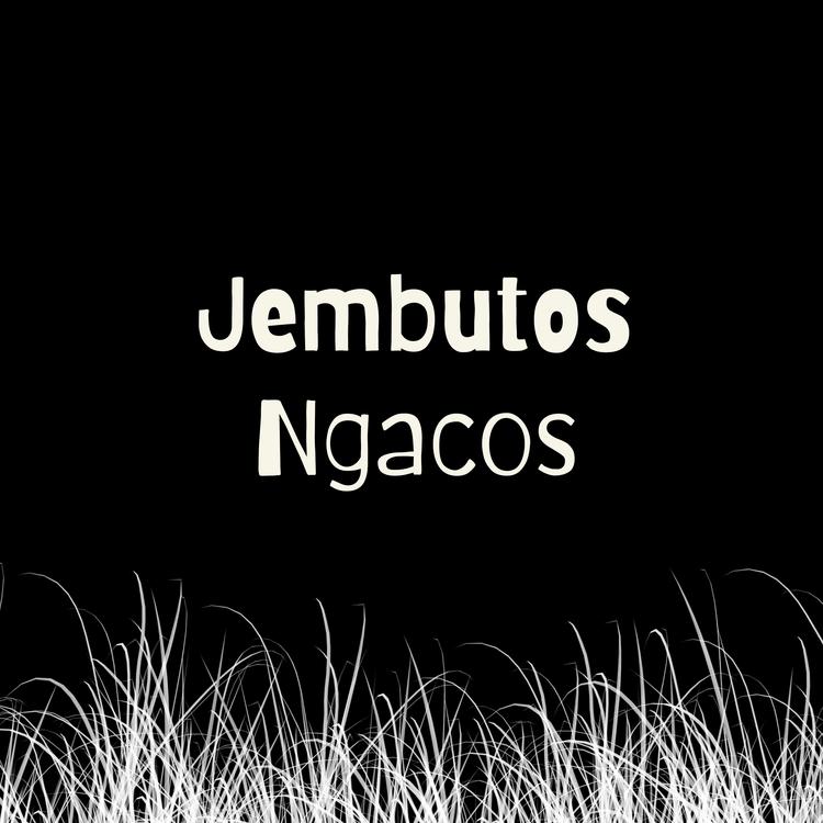 Jembutos Ngacos's avatar image