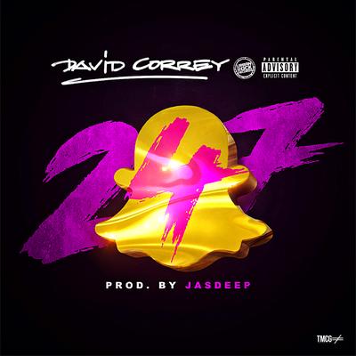 247 By David Correy's cover