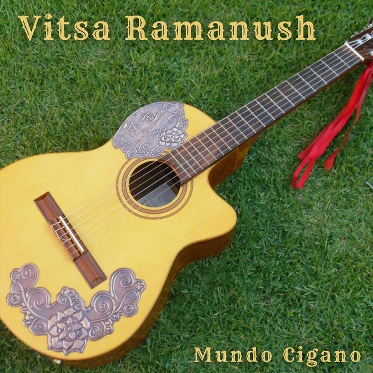 Vitsa Ramanush's avatar image