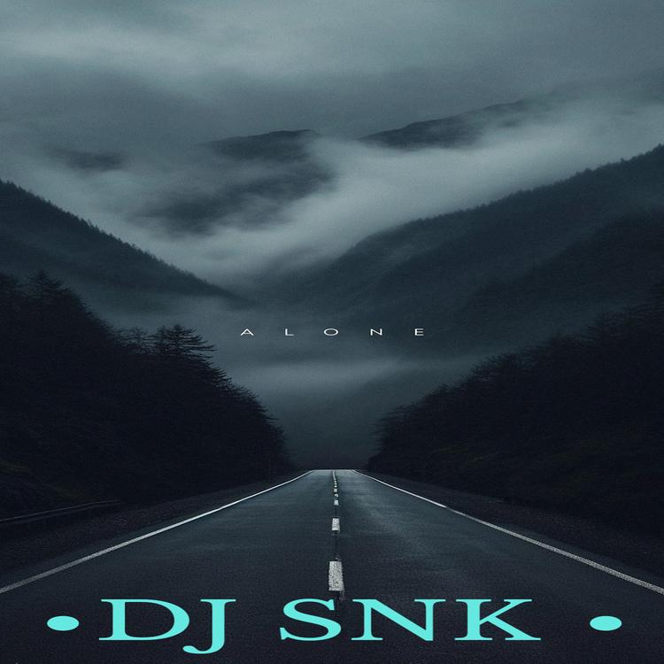 Dj Snk's avatar image