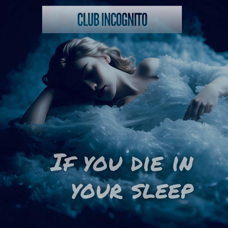 Club Incognito's avatar image