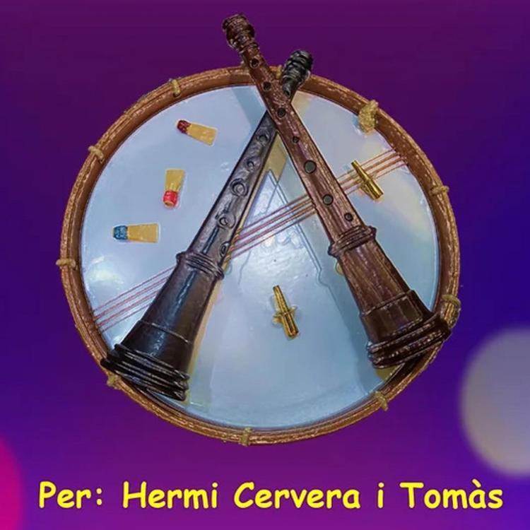 Hermi Cervera i Tomàs's avatar image