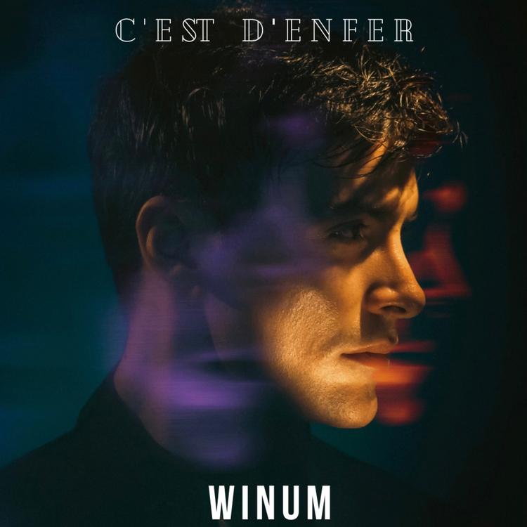 WINUM's avatar image