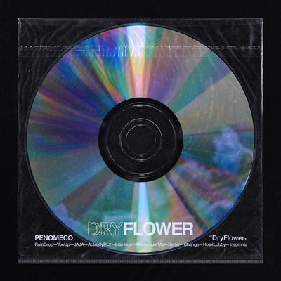 Dry Flower's cover