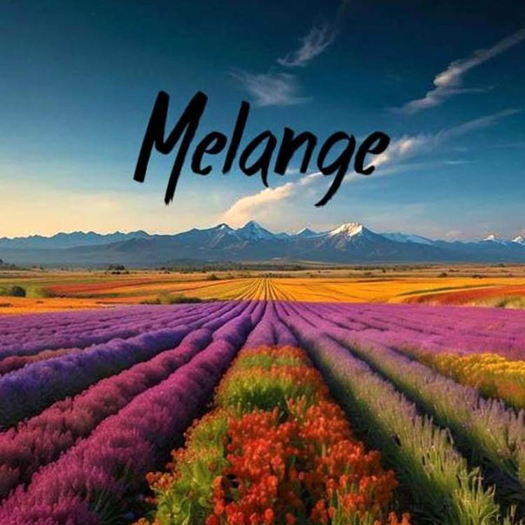 Melange's avatar image