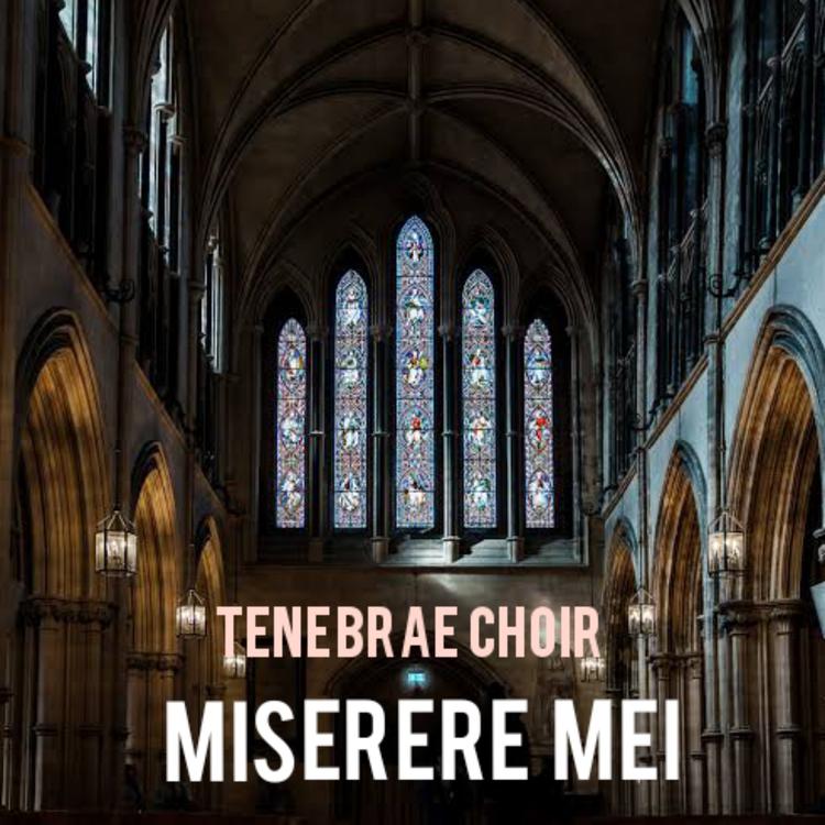 Tenebrae Choir's avatar image