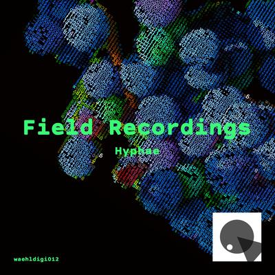 FIELD RECORDINGS's cover