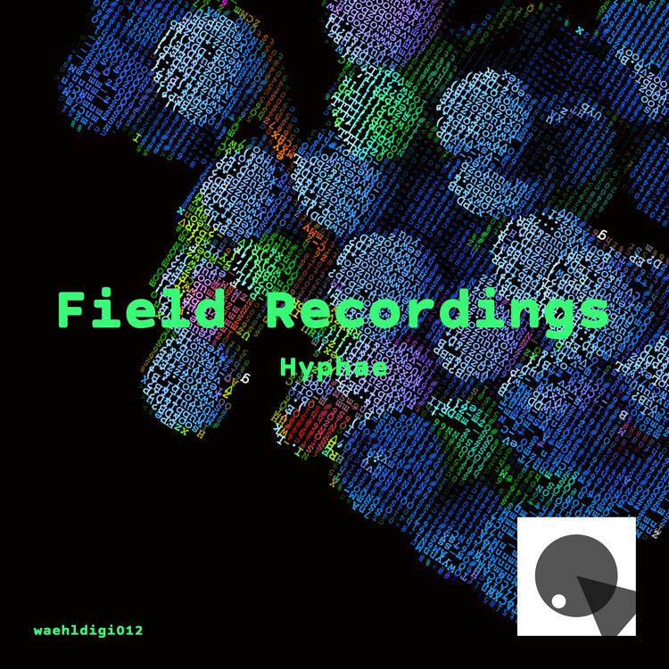 FIELD RECORDINGS's avatar image