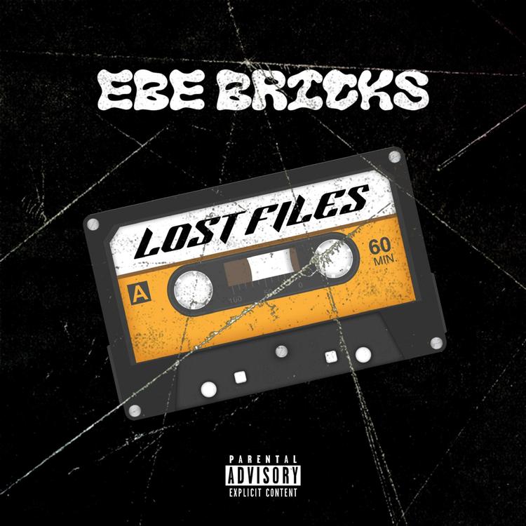 EBE Bricks's avatar image