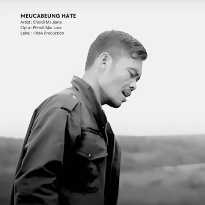 Meucabeung Hate's cover