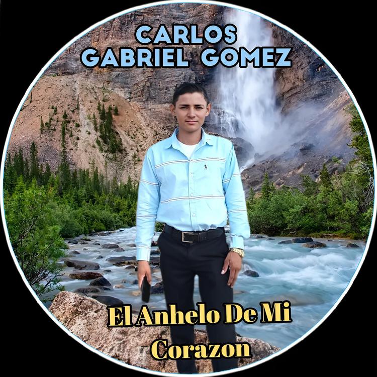 Carlos Gabriel Gomez's avatar image