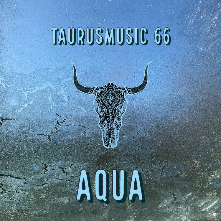 TaurusMusic 66's avatar image