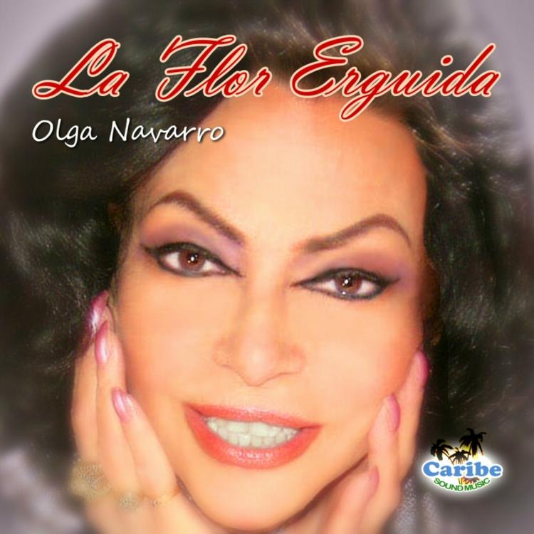 Olga Navarro's avatar image