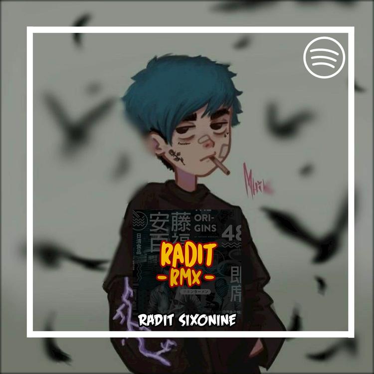 Radit RMX's avatar image