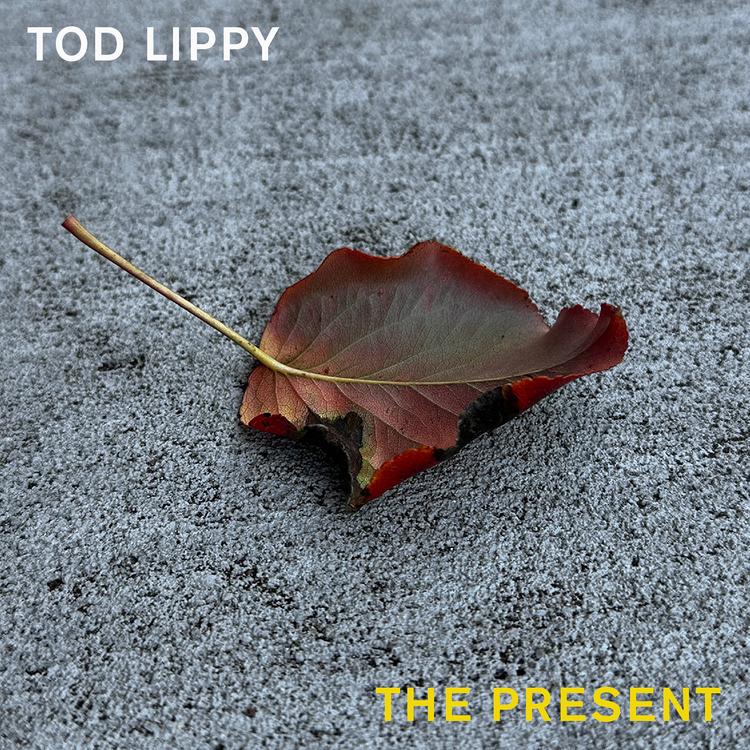 Tod Lippy's avatar image