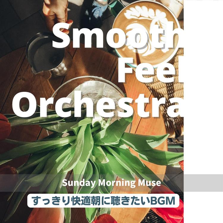 Smooth Feel Orchestra's avatar image