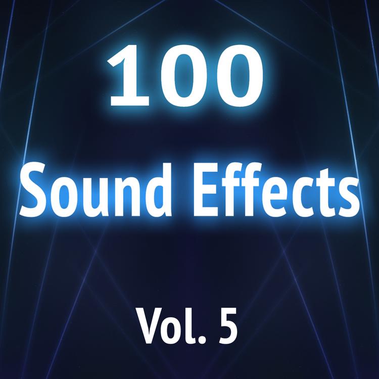 Sound Effects Design Society's avatar image