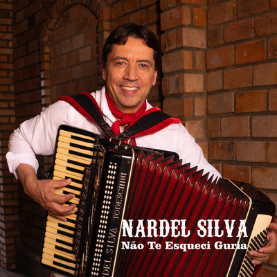 Não Te Esqueci Guria By Nardel Silva's cover