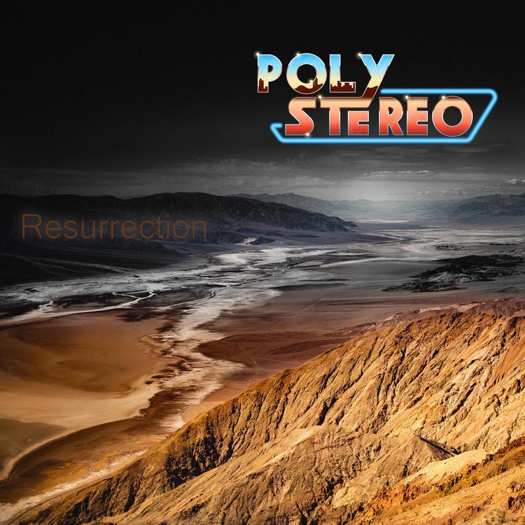 PolyStereo's avatar image