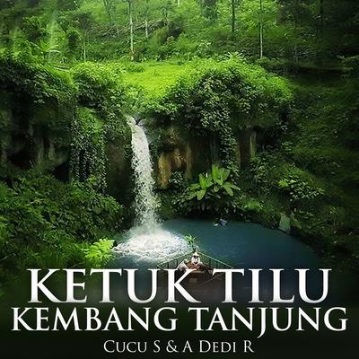 Ketuk Tilu Kembang Tanjung's cover