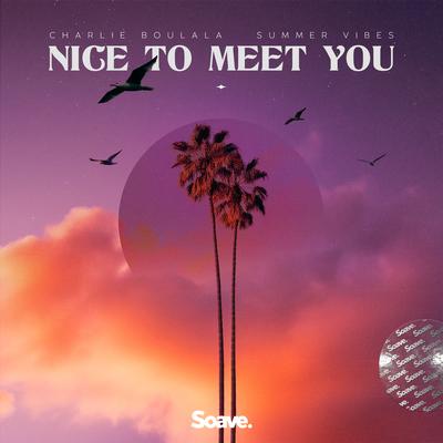 Nice to Meet You By Charlie Boulala, Summer Vibes's cover