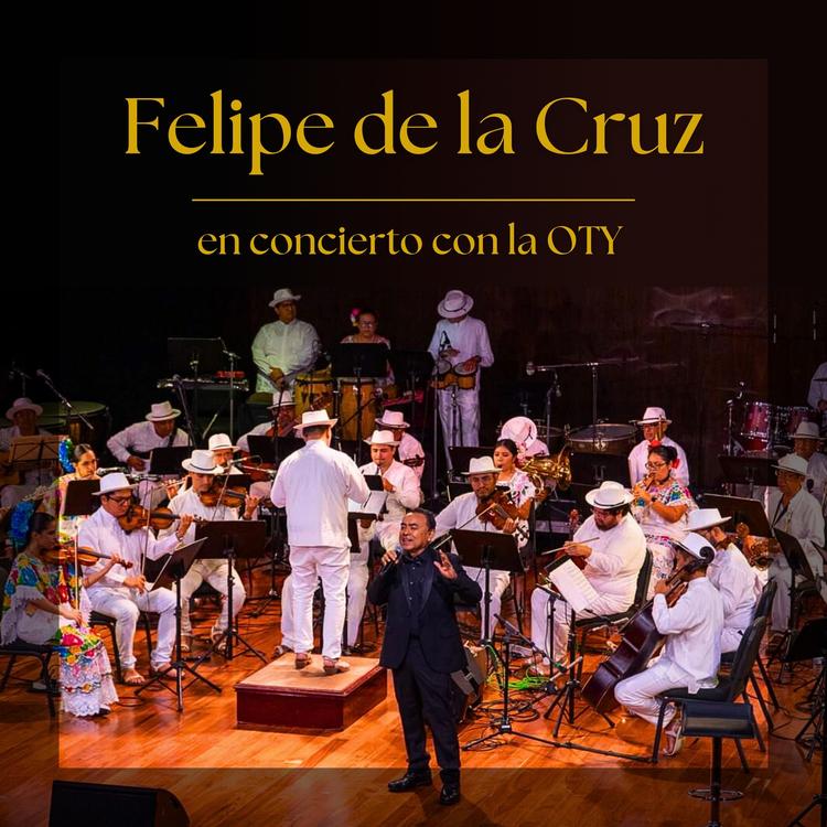 Felipe de la Cruz's avatar image