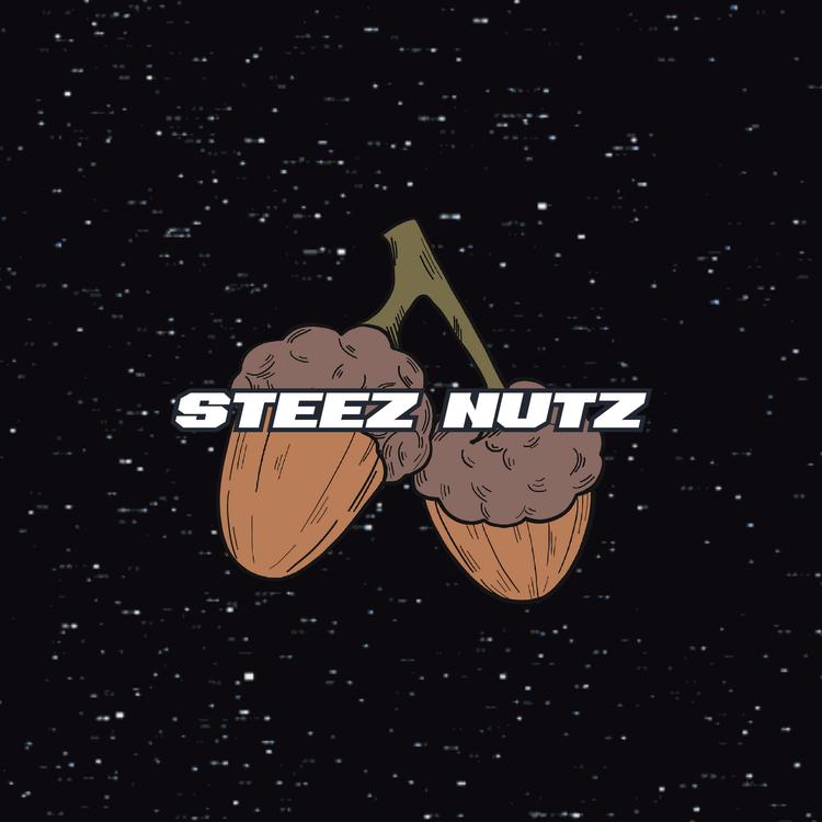 STEEZ NUTZ's avatar image