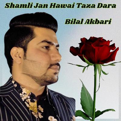 Shamli Jan Hawai Taza Dara's cover