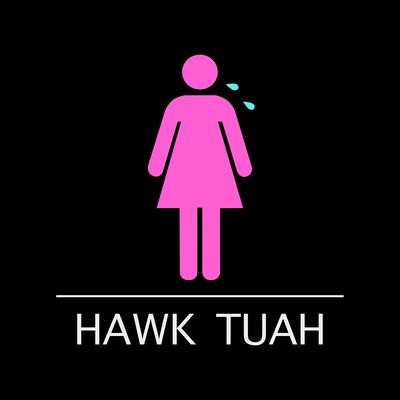 Hawk Tuah By ANTH, Conor Maynard, Corey Nyell's cover