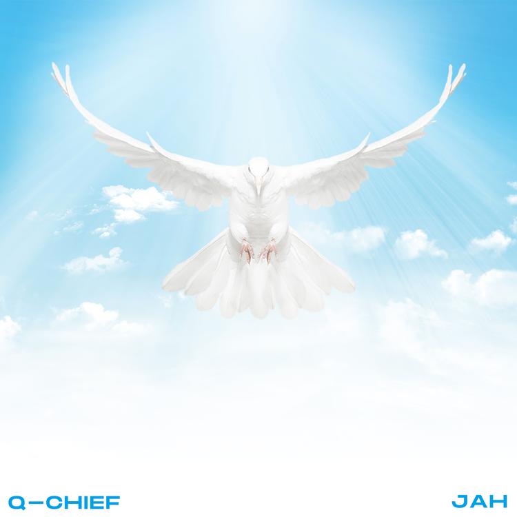 Q Chief's avatar image