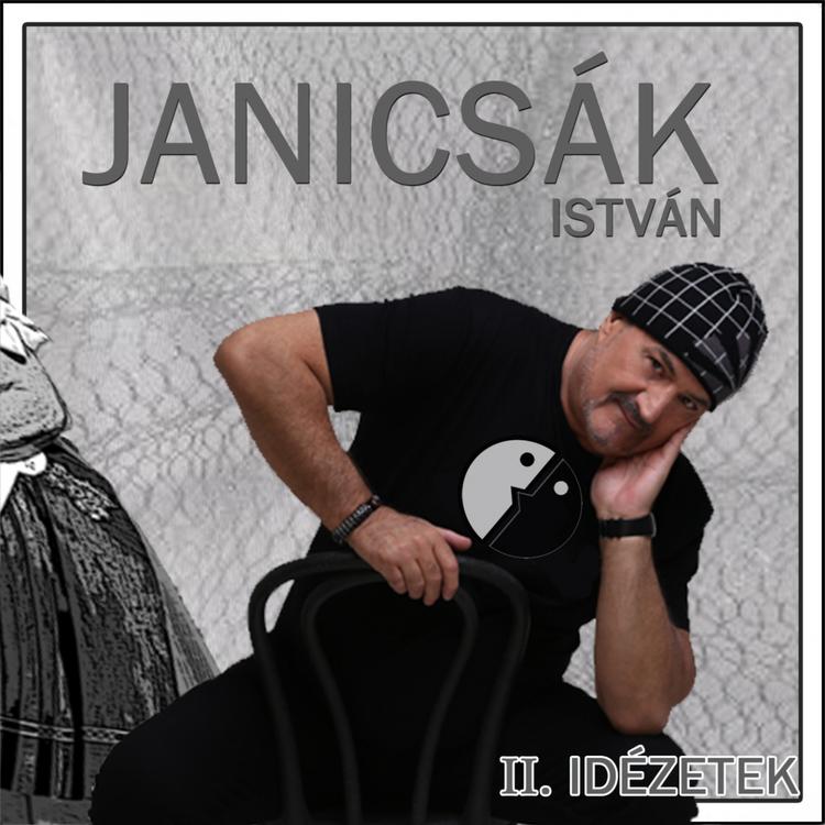 Janicsák István's avatar image