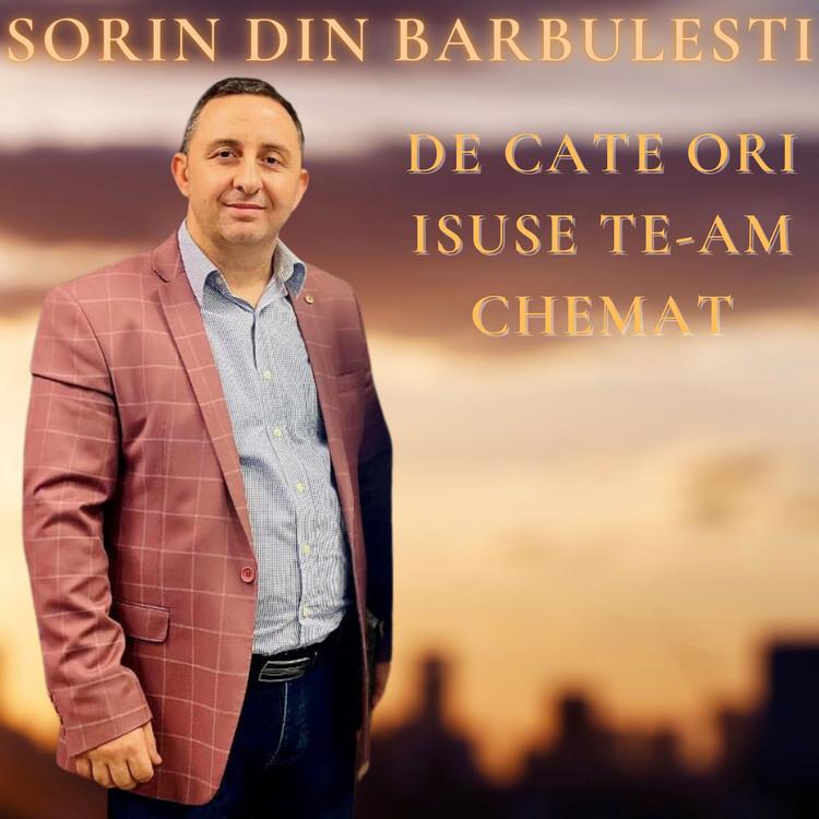 Sorin din Barbulesti's avatar image